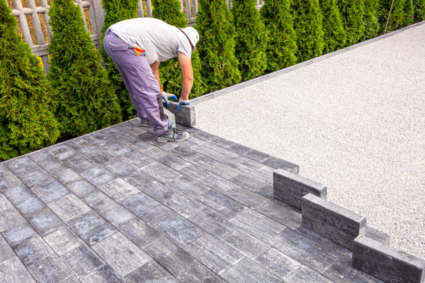 Best Driveway Paving Contractor  in Prospect Heights, IL
