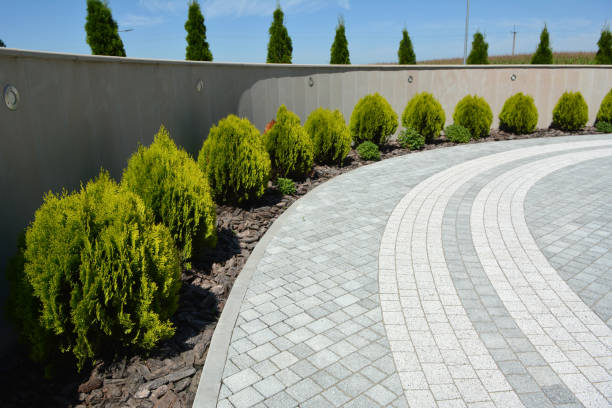 Best Decorative Driveway Pavers  in Prospect Heights, IL